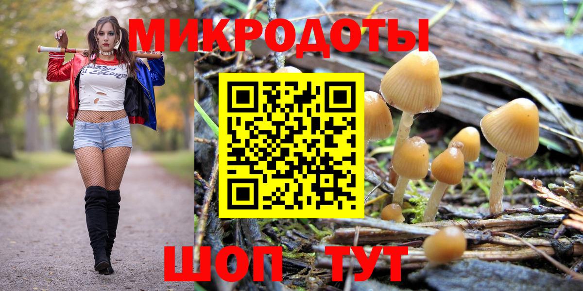 Батайск  Псилоцибиновые грибы Cubensis  купить закладку  Вход с VPN 